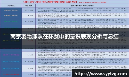 南京羽毛球队在杯赛中的意识表现分析与总结